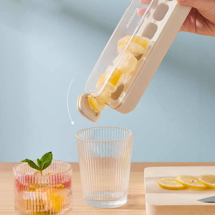 Ice Tray Bottle 800ml